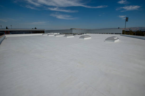 Best Sheet Metal Roofing  in Home Gardens, CA