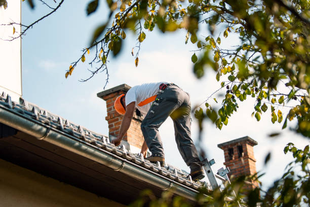 Best Roof Ventilation Installation  in Home Gardens, CA