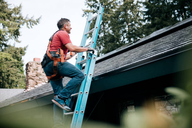 Best Roof Maintenance and Cleaning  in Home Gardens, CA